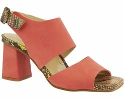 Unity In Diversity Zelda