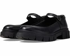 Seychelles Alley Cat