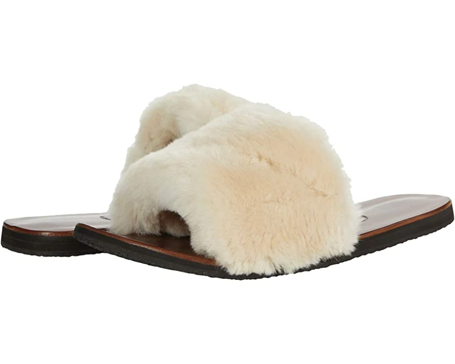 Californians Tory 1 Californians Tory