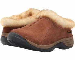 Old Friend Snowbird II